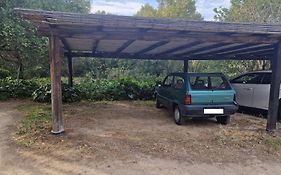 Villa Chiara Villetta con giardino IUN 4807